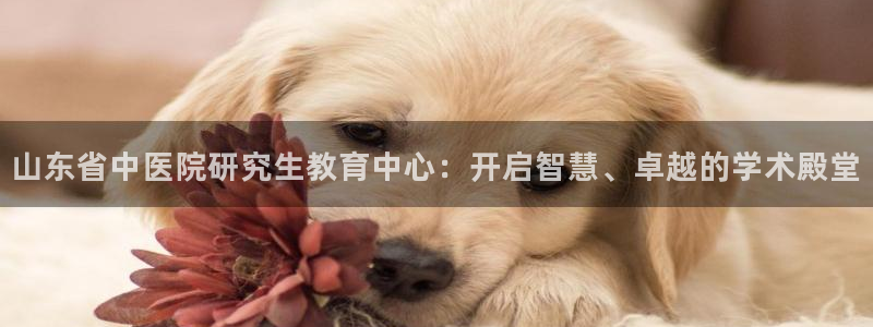 J9九游会首页登录
