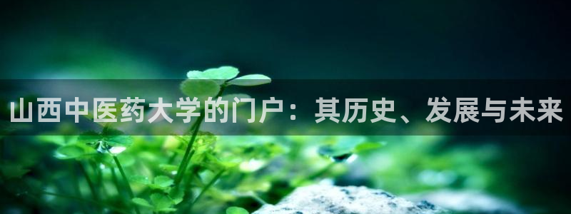 九游会在线官方