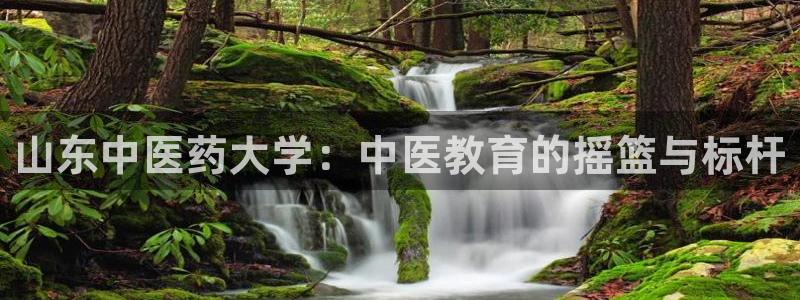 j9九游会官网