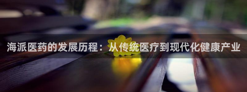 九游会是什么组织