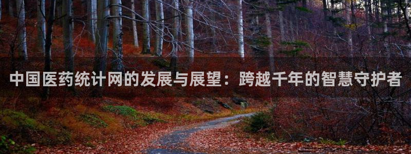 九游会网址多少