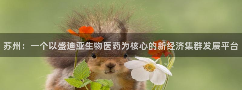 j9九游会导航