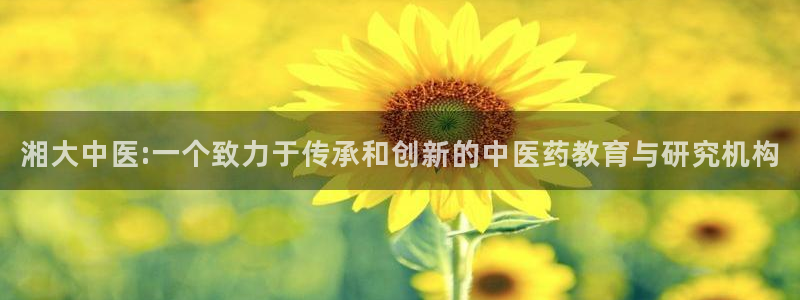 ag老帅百度百科：湘
